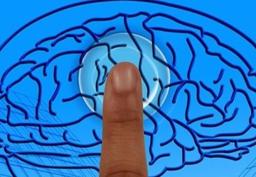 Workshop Top Performance com a PNL